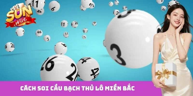 bạch thủ lô miền bắc