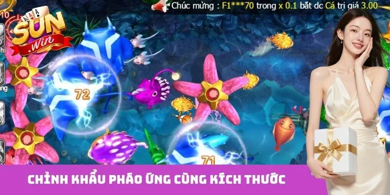 Chỉnh khẩu pháo ứng cùng kích thước